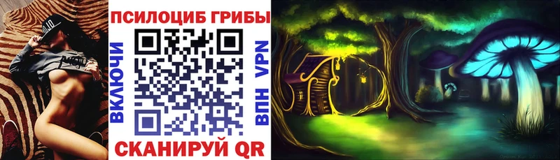Галлюциногенные грибы мицелий  Купить где  Пошехонье 