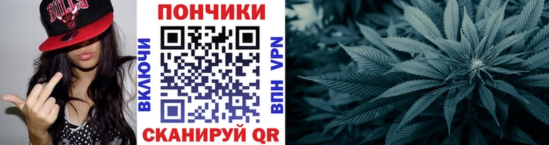 Марихуана семена  Купить где  Пошехонье 